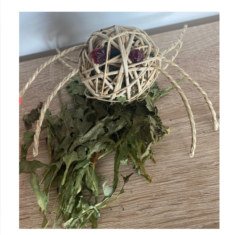 Incy wincy spider