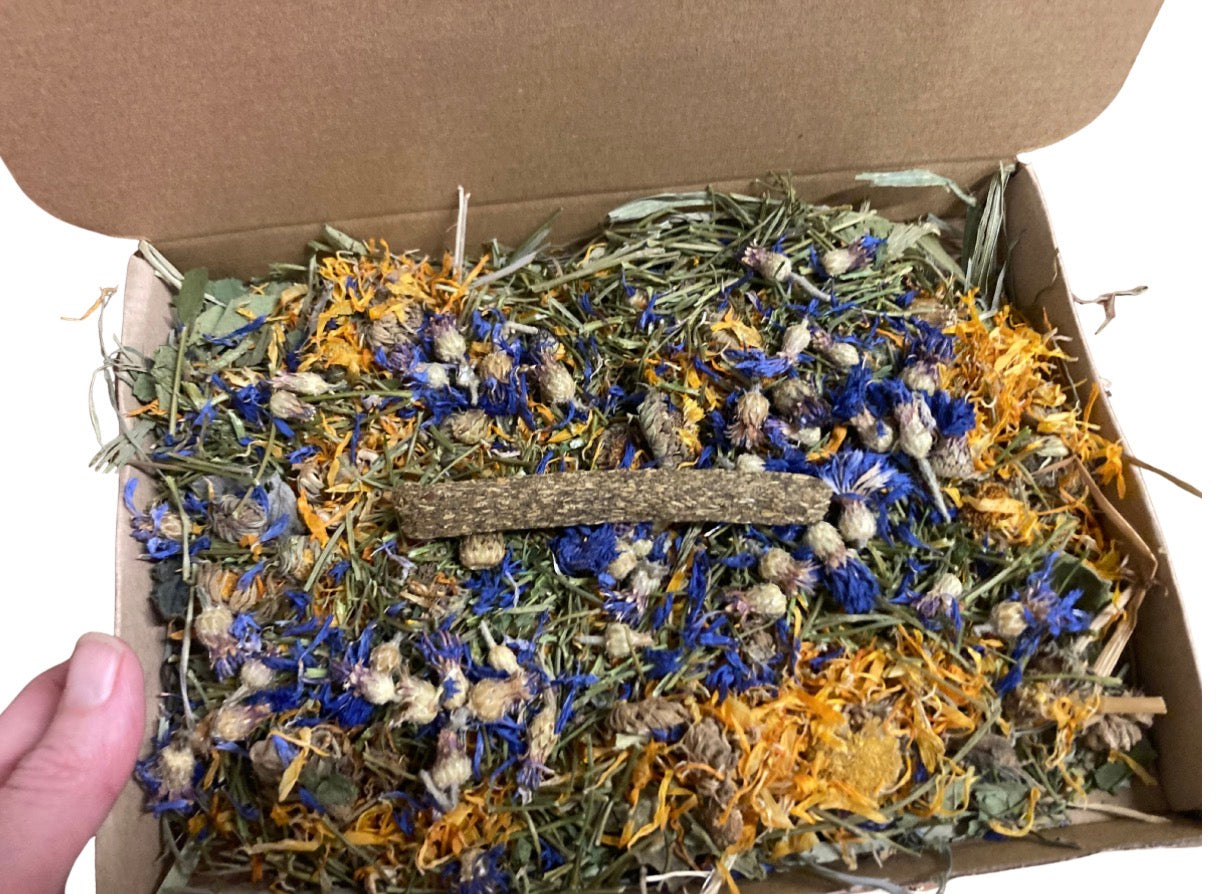 Happy Day Forage Box