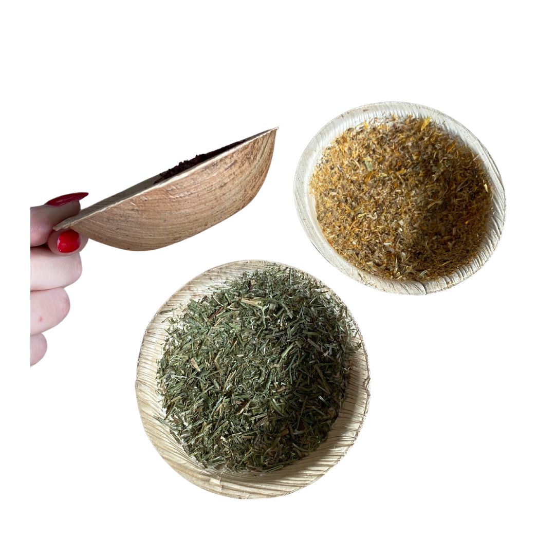 Let's disc-o! Pack of 2