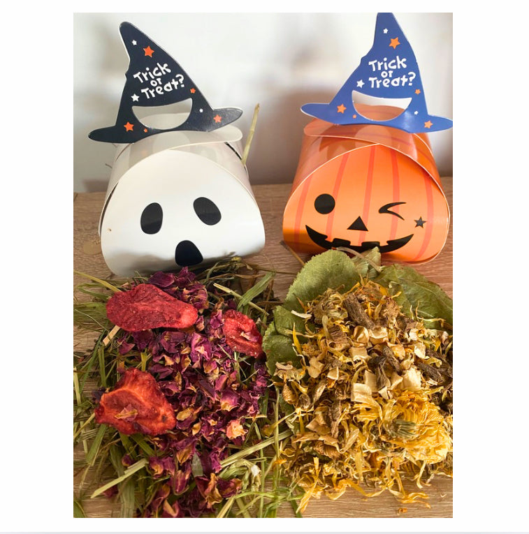 Ghostie & Pumpkin friends
