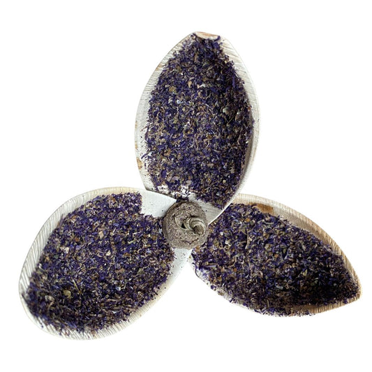 Palm-a violet