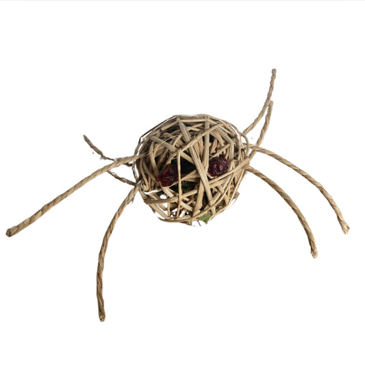 Incy wincy spider