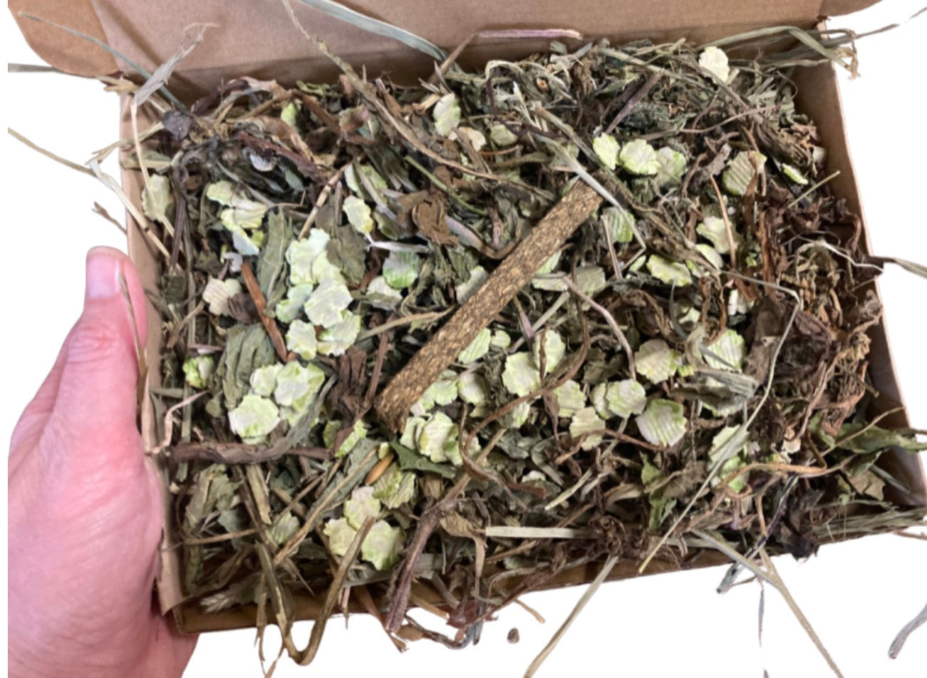 Tasty Forest Forage Box