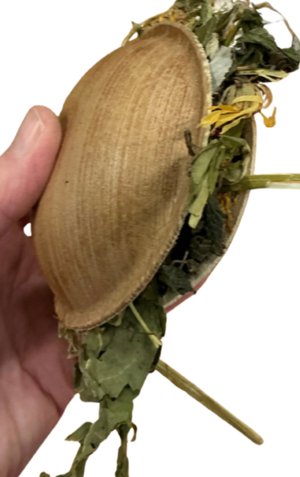Shell casket surprise