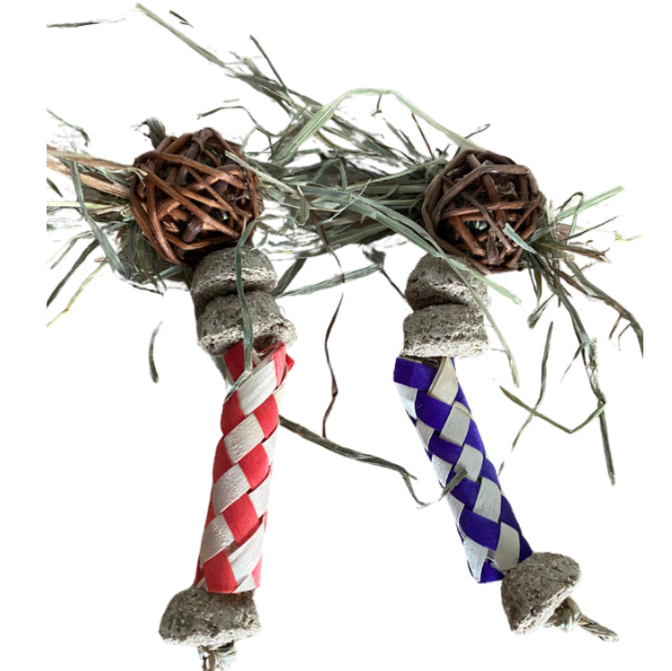 Shake your maracas - 2 pack