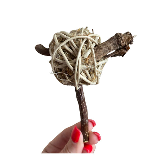 Nature lollipop