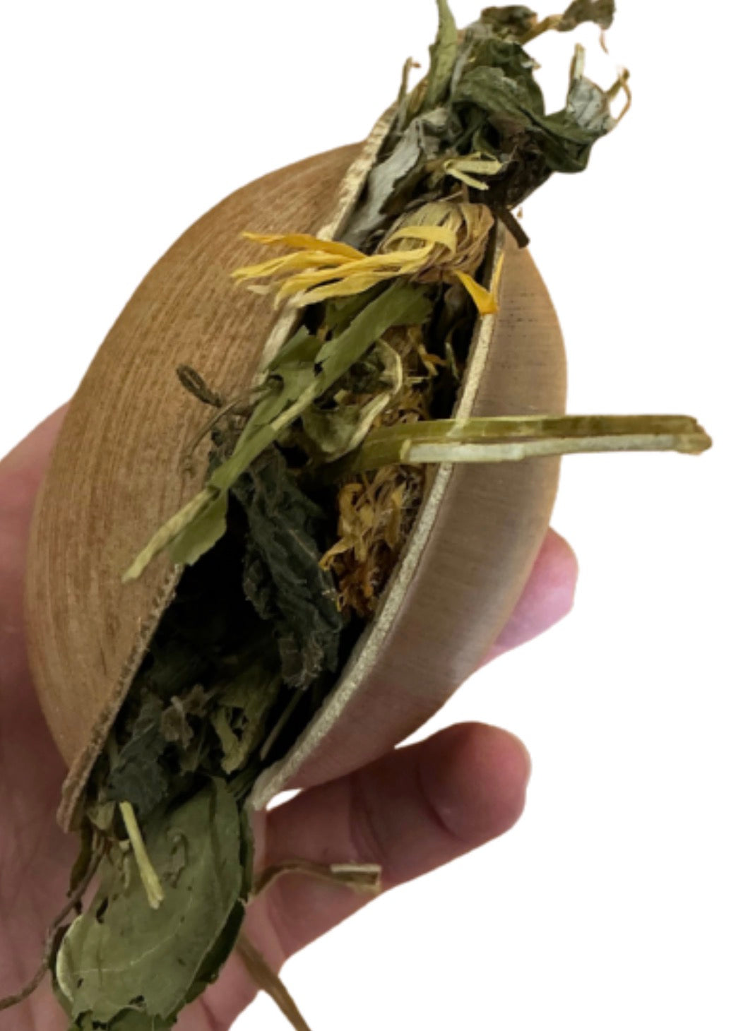 Shell casket surprise