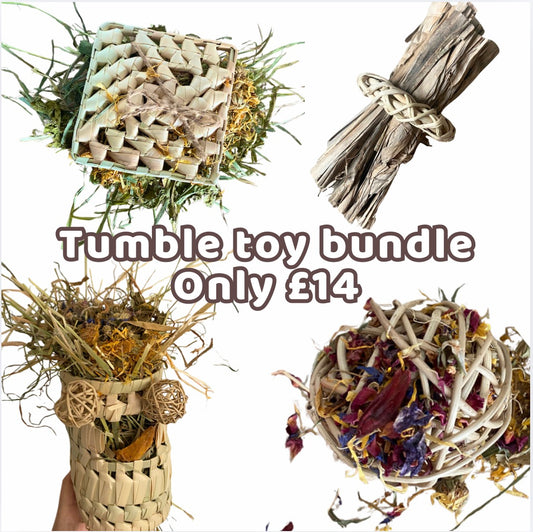 Tumble toy bundle