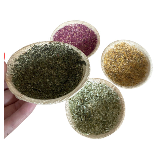 Let's disc-o! Pack of 2