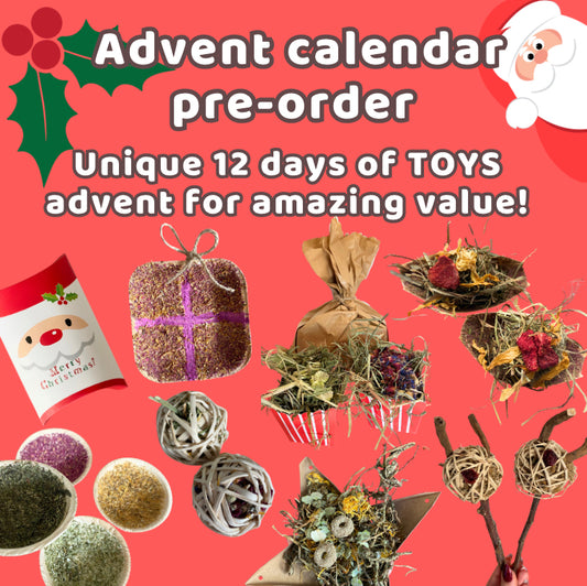 Toy advent calendar PRE-ORDER