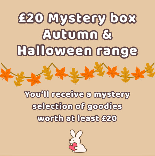 £20 Mystery box - Autumn & Halloween
