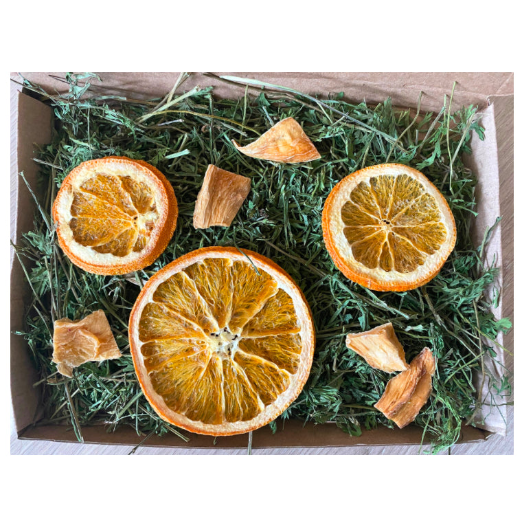 Hop, hop, tumble forage box