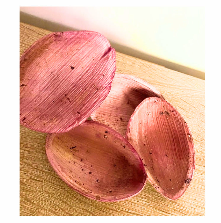 Berry burst bowls - Pack of 2