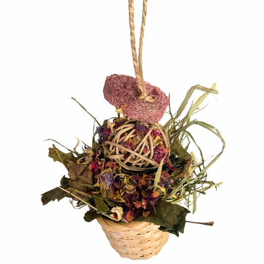 Mulled wine beetroot hanger