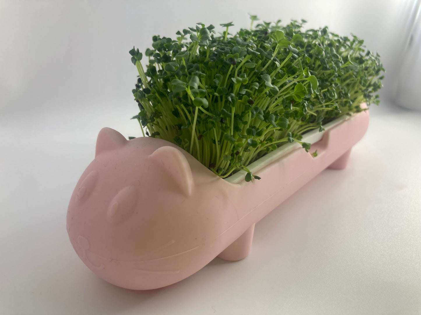 Microgreen animal