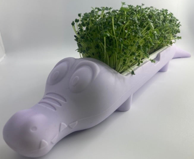 Microgreen animal