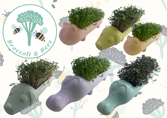 Microgreen animal